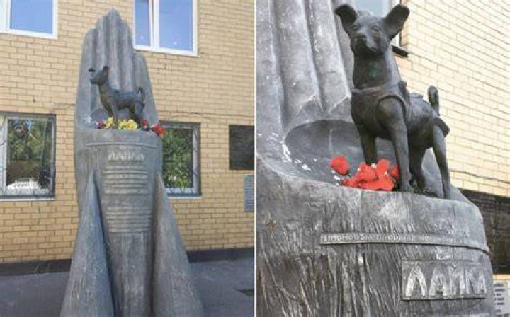 Muttnik Statue